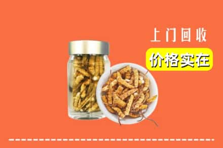 通化市二道江回收散虫草