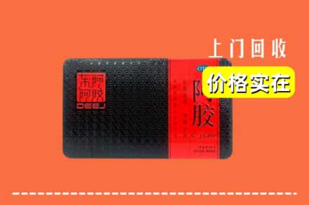 通化市二道江回收阿胶