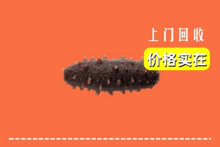 通化市二道江回收海参