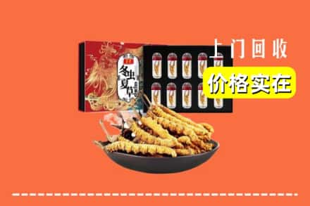 通化市二道江回收虫草